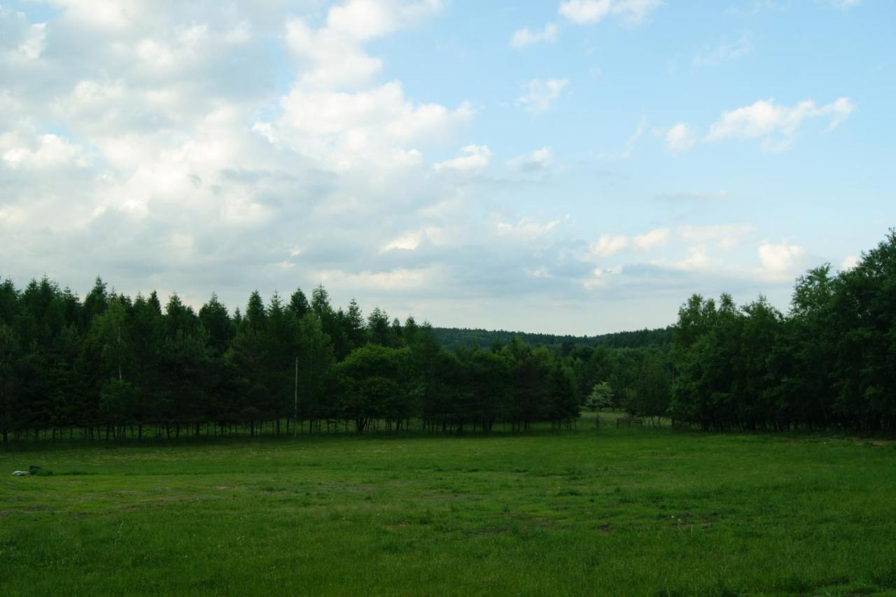 Villa Siedlisko Blotnia Mierzeszyn Exterior foto